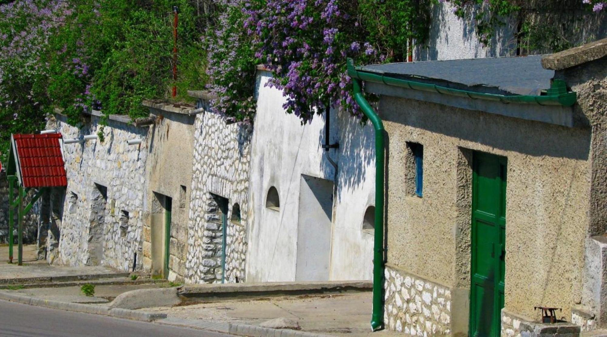 Fenyő Panzió Mezőkövesd Exterior foto